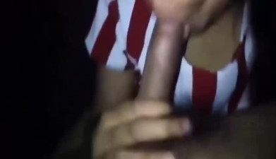 Jangan Rekam - Indonesian Blowjob Handjob Amateur Video