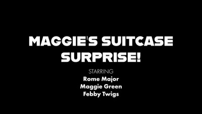 Maggie Green, Febby Twigs - Maggie's Suitcase Surprise