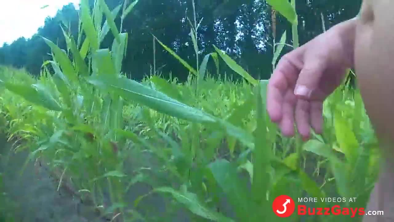 Watch Outdoor Masturbation in Cornfield & Woods Porn Video - ePornSup.