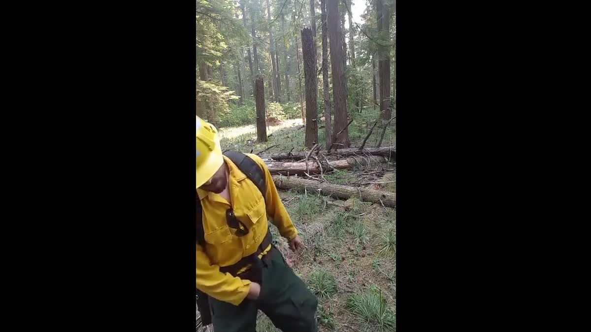 Watch Wildfire Worker&#39;s Outdoor Masturbation Solo Porn Video - ePornSup.