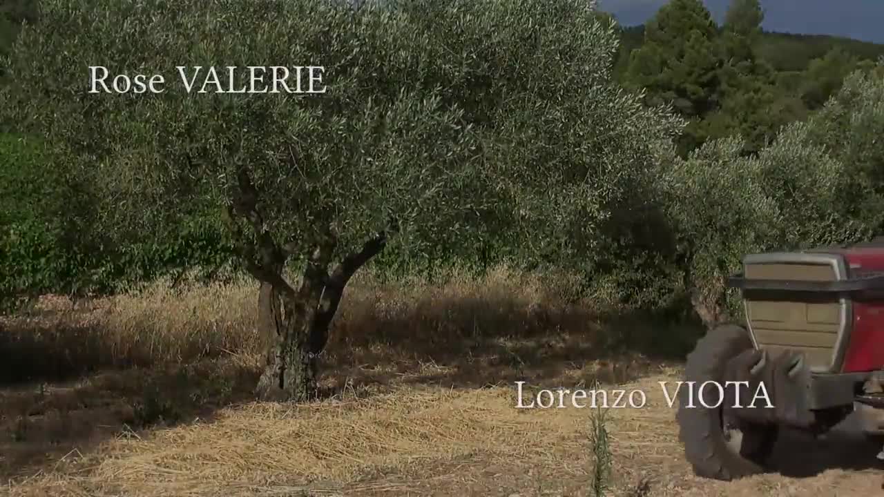 Watch La Saison Des Vendanges (2017) Porn Video - ePornSup.