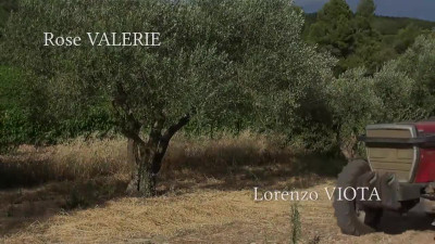 La Saison Des Vendanges (2017)