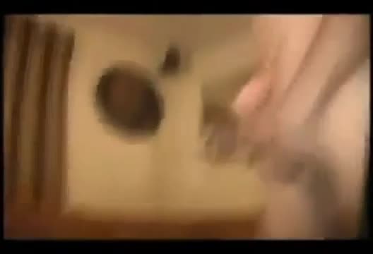 Watch TWO HUNG MATES GIVE IT TO A BLONDE LAD Porn Video - ePornSup.